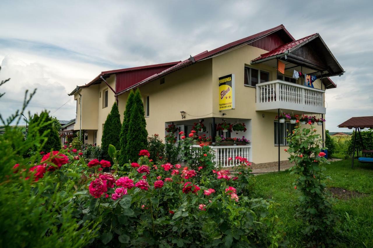 Pensiunea Elena Tasnad Exterior photo